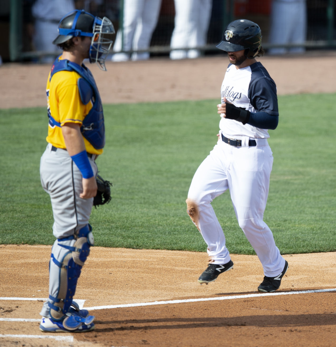 Saltdogs vs Sioux Falls , 8.11